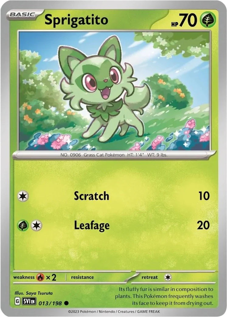 Sprigatito (013/198) (Paldea Collection) [Scarlet & Violet: Base Set] Pokemon