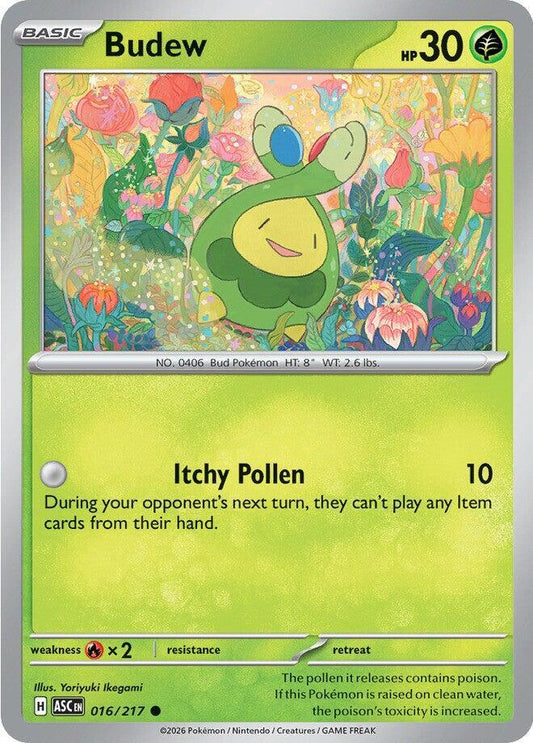 Pokémon - Ascended Heroes (ASC) - Budew - 016/217 Pokemon