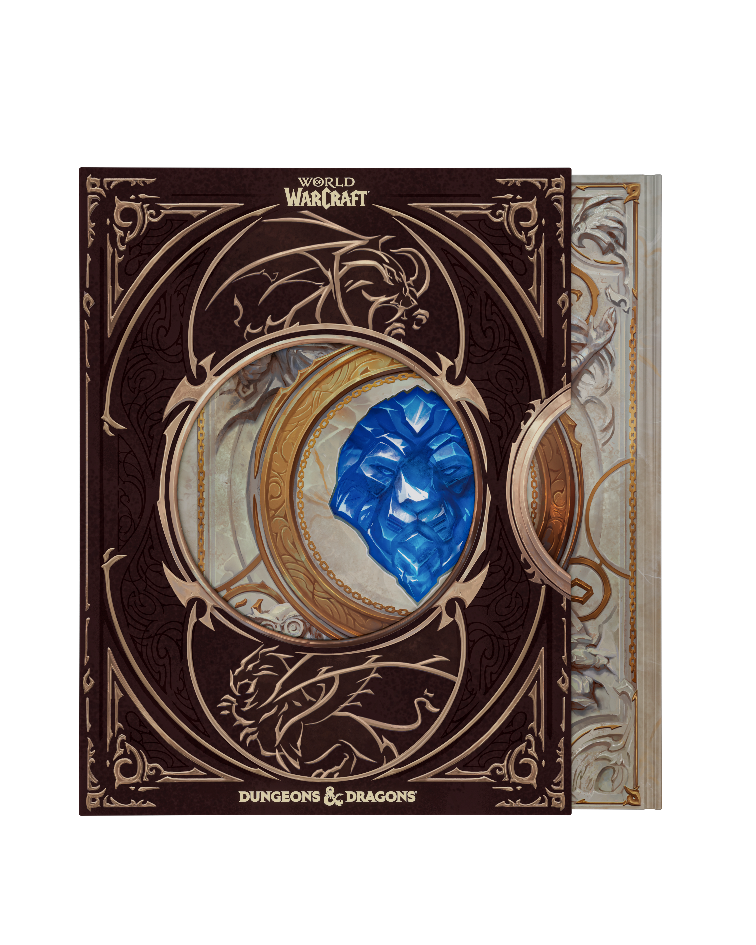 Dungeons & Dragons - World of Warcraft® Gameplay Expansion - Collector's Edition Gameplay Expansion