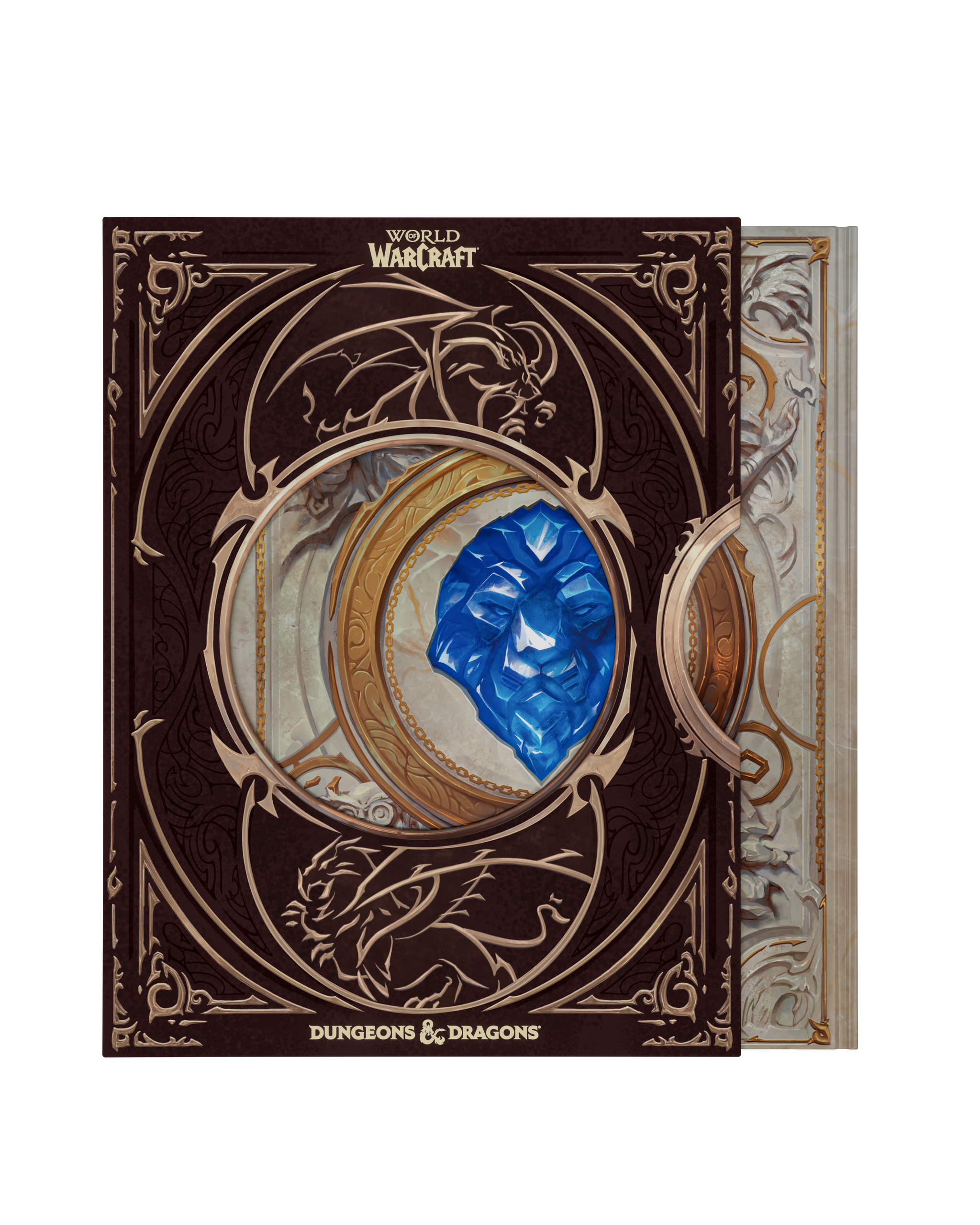 Dungeons & Dragons - World of Warcraft® Gameplay Expansion - Collector's Edition Gameplay Expansion