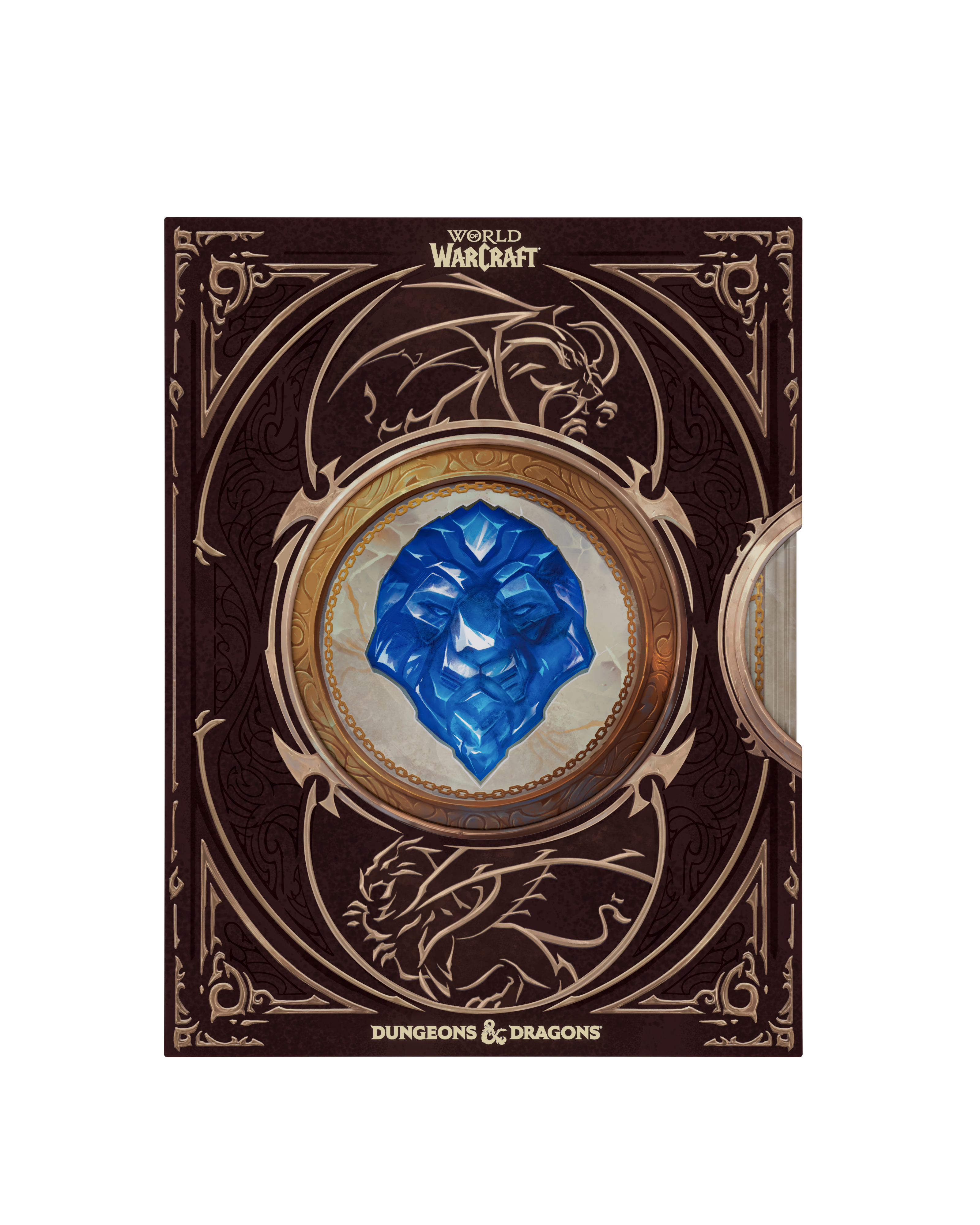 Dungeons & Dragons - World of Warcraft® Gameplay Expansion - Collector's Edition Gameplay Expansion