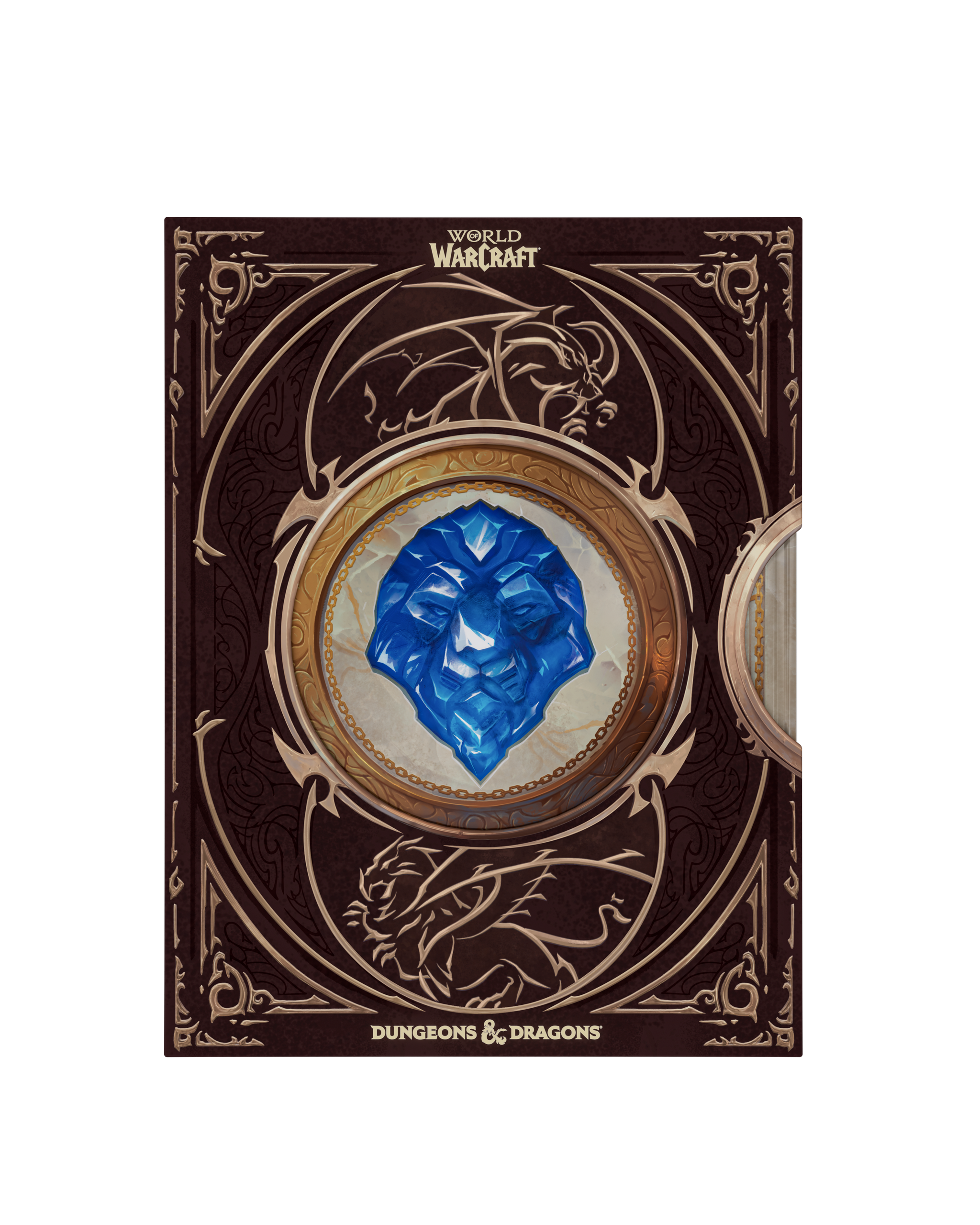 Dungeons & Dragons - World of Warcraft® Gameplay Expansion - Collector's Edition Gameplay Expansion