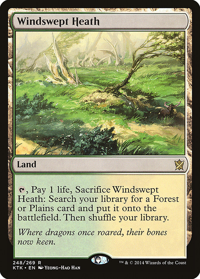 Windswept Heath Magic The Gathering