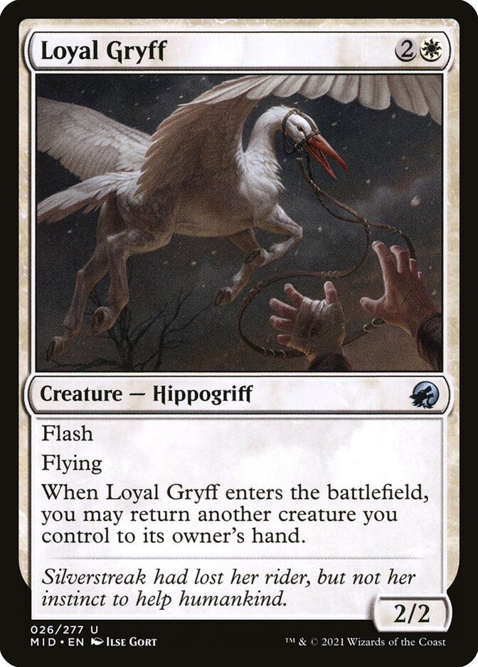 Loyal Gryff Magic The Gathering